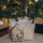 Geschenksack Baumwolle Waldtiere