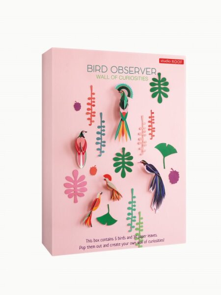 Big wall of curiosities - Bird Observer