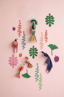 Big wall of curiosities - Bird Observer