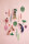 Big wall of curiosities - Bird Observer