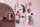 Big wall of curiosities - Bird Observer