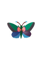 lily butterfly
