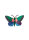 lily butterfly