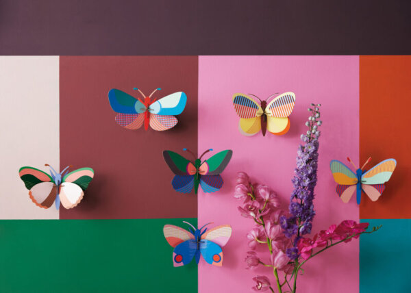 hapi butterfly