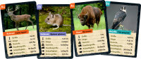 Quartett heimischer Tiere