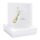 Boxed Happy birthday Champagne Earring Card