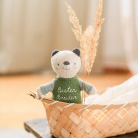 Bär "bester Bruder" mit T-shirt in...