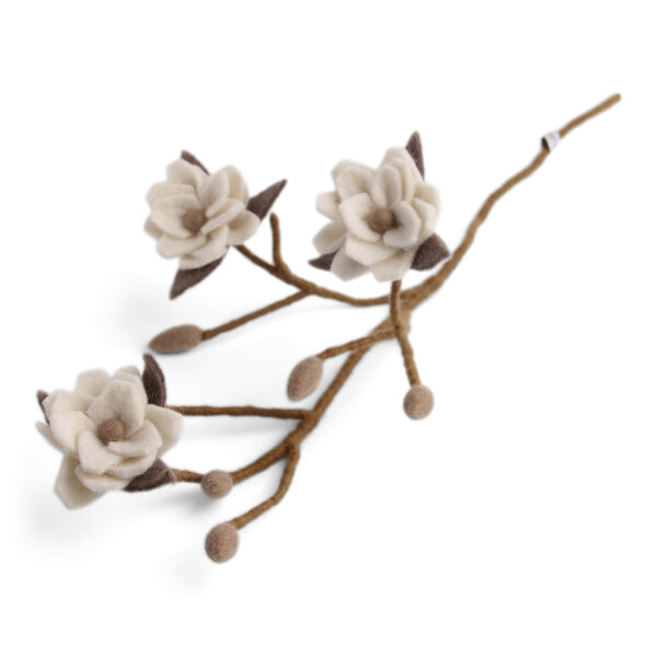 Magnolienzweig mit weißen Blumen