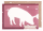 Scheinchen Schweinchen Karte – Fürs Sparschwein