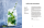 I love Kräuter und Blüten